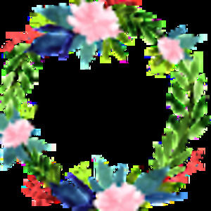 Meet your Posher, Alina